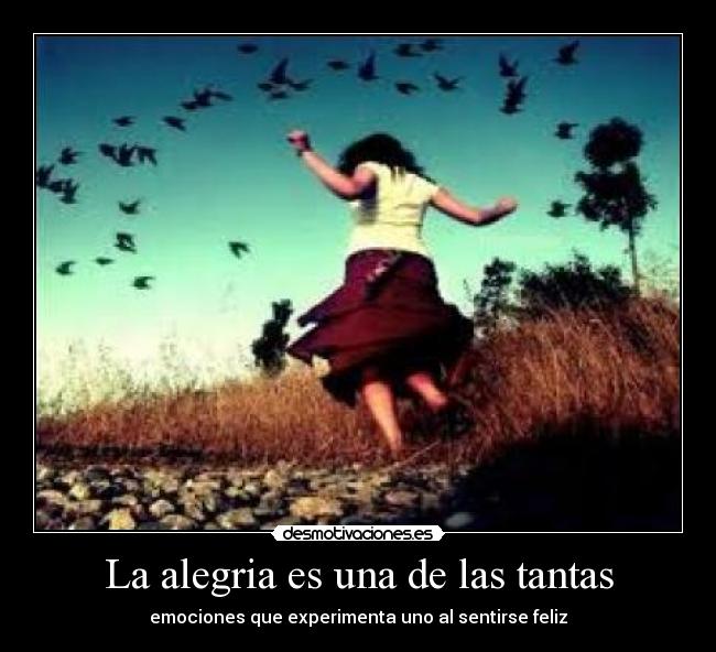 La alegria es una de las tantas -