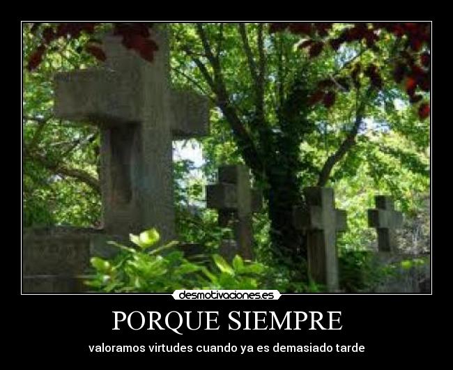 PORQUE SIEMPRE - valoramos virtudes cuando ya es demasiado tarde