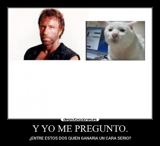 carteles feder buenos cabrera desmotivaciones