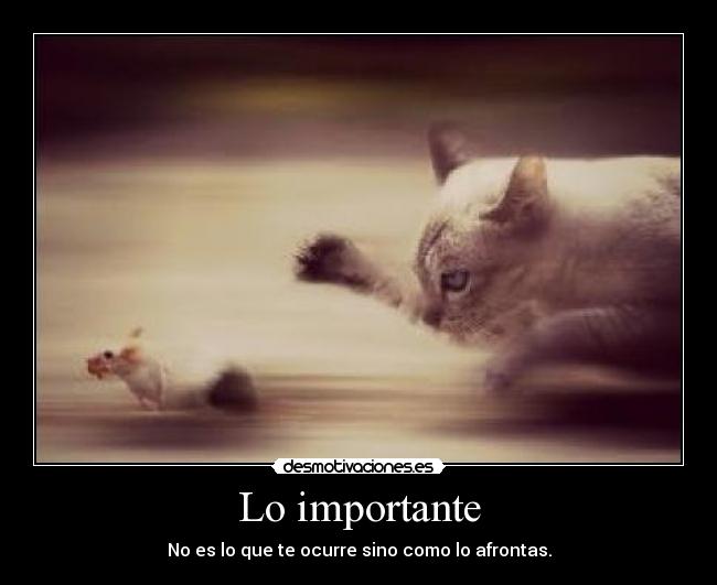 Lo importante -