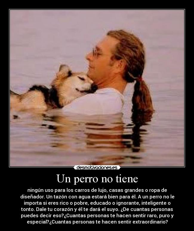 Un perro no tiene - ningún uso para los carros de lujo, casas grandes o ropa de
diseñador. Un tazón con agua estará bien para él. A un perro no le
importa si eres rico o pobre, educado o ignorante, inteligente o
tonto. Dale tu corazón y él te dará el suyo. ¿De cuantas personas
puedes decir eso?¿Cuantas personas te hacen sentir raro, puro y
especial?¿Cuantas personas te hacen sentir extraordinario?