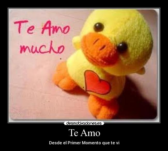 Te Amo - Desde el Primer Momento que te vi