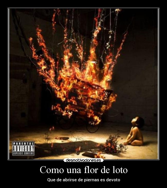 Como una flor de loto - Que de abrirse de piernas es devoto