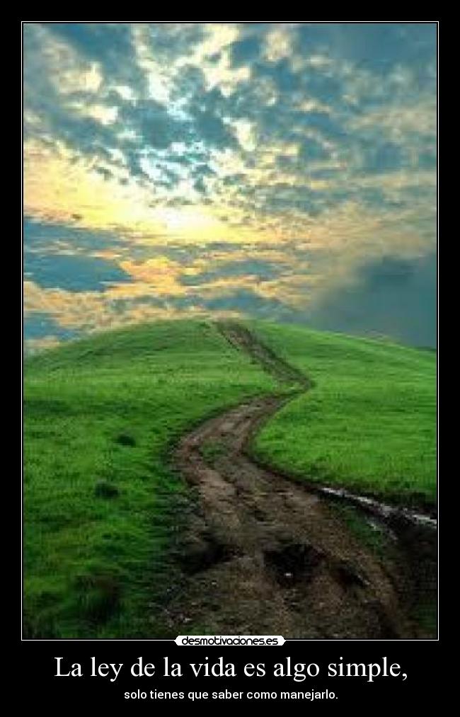La ley de la vida es algo simple, -