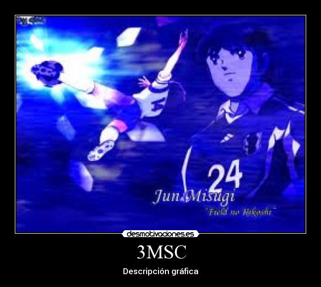 3MSC - Descripción gráfica