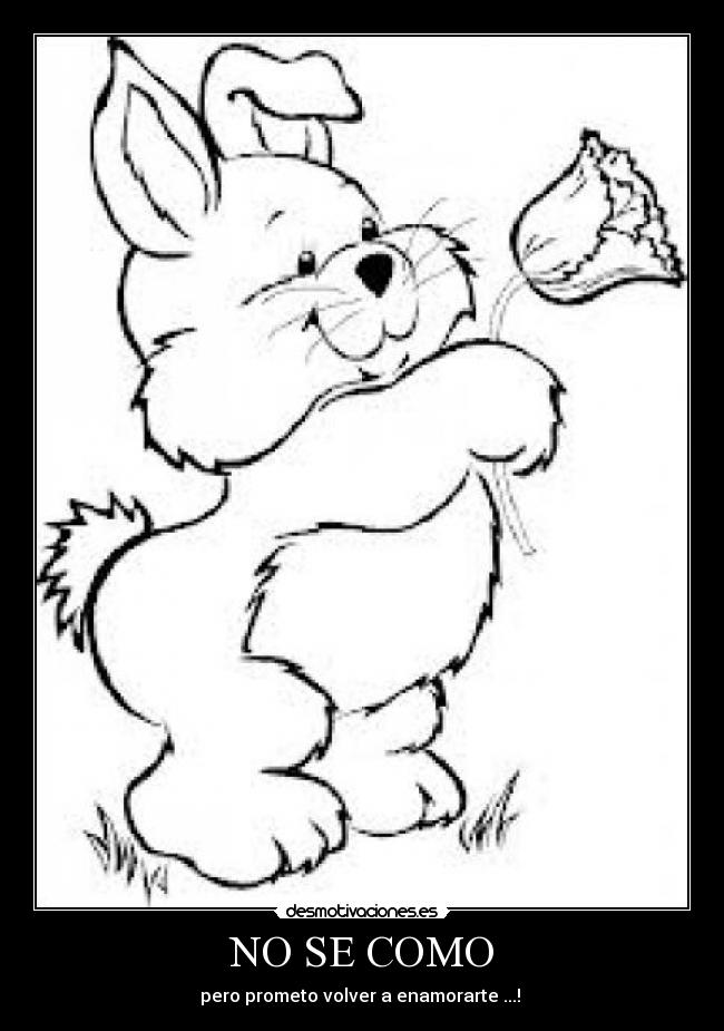 NO SE COMO - pero prometo volver a enamorarte ...! ♥