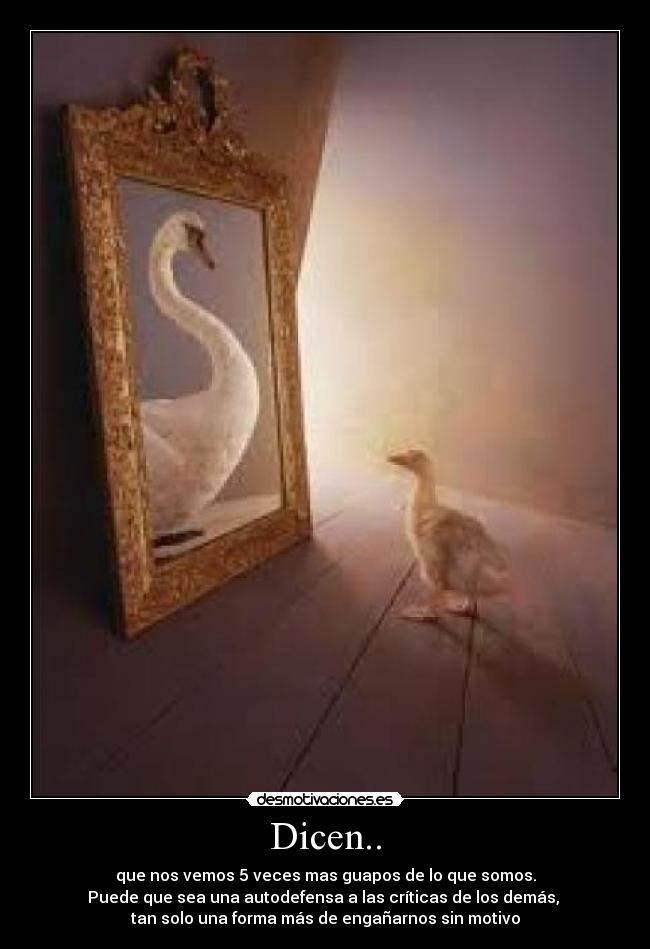 Dicen.. - que nos vemos 5 veces mas guapos de lo que somos.
Puede que sea una autodefensa a las críticas de los demás,
tan solo una forma más de engañarnos sin motivo