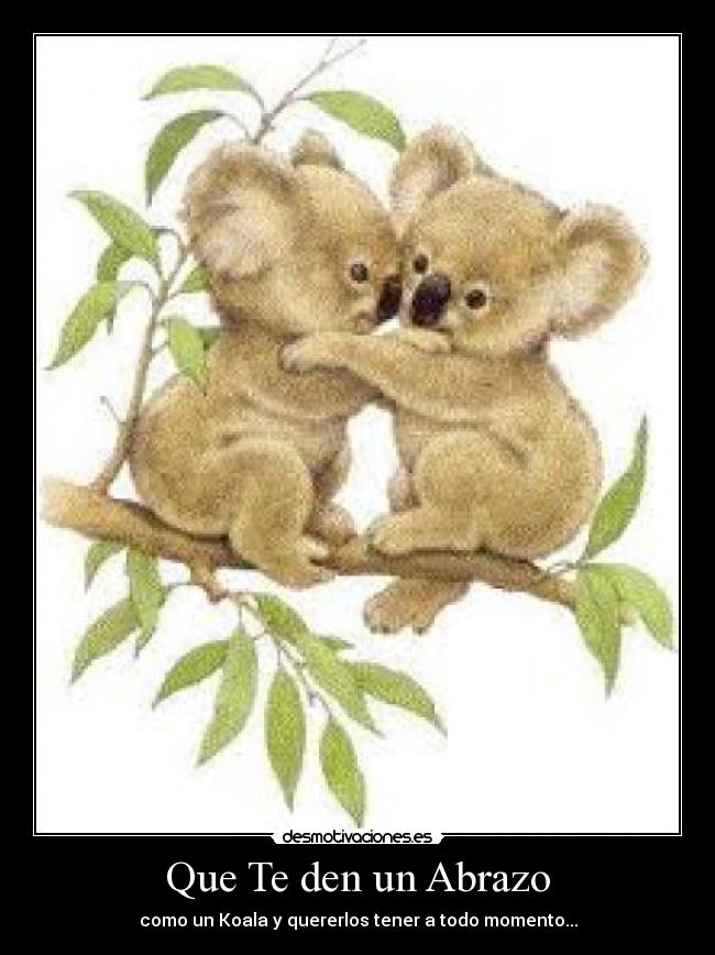 Que Te den un Abrazo - como un Koala y quererlos tener a todo momento...