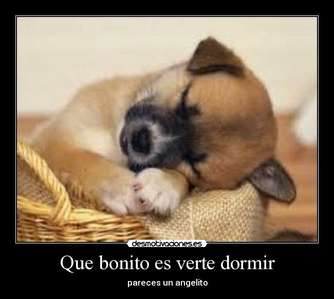 Que bonito es verte dormir - pareces un angelito