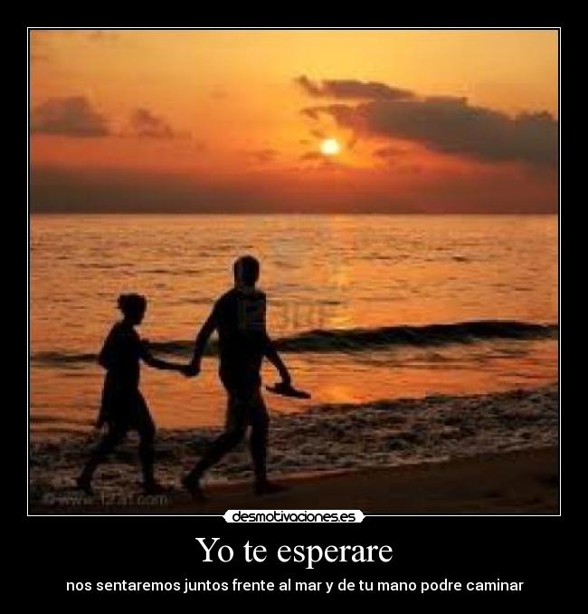 Yo te esperare -