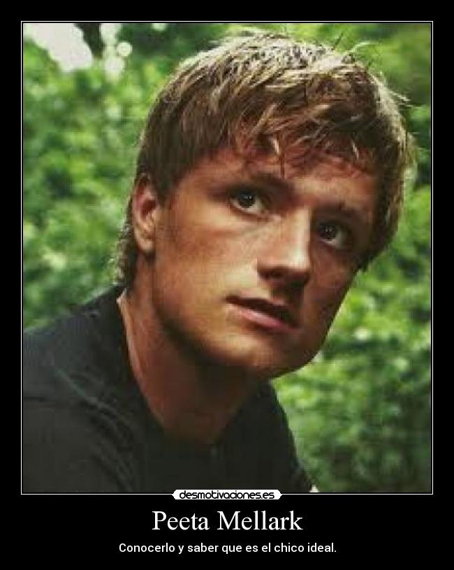 carteles peeta mellark desmotivaciones