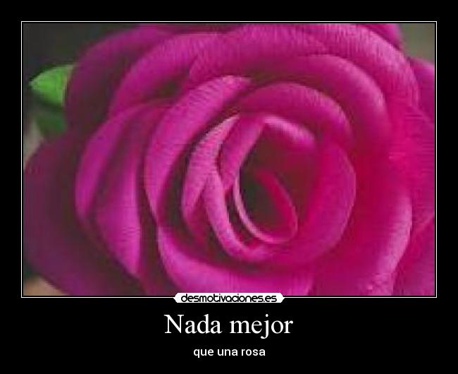 carteles raquel desmotivaciones