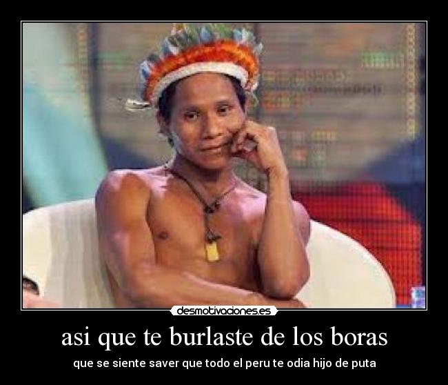 asi que te burlaste de los boras - que se siente saver que todo el peru te odia hijo de puta