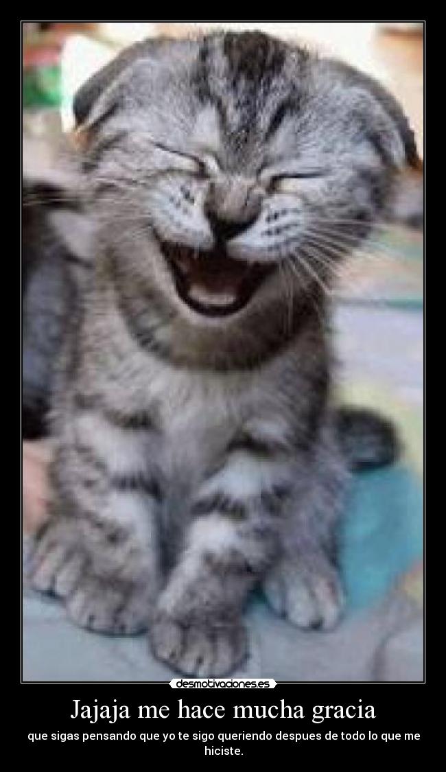 Jajaja me hace mucha gracia - que sigas pensando que yo te sigo queriendo despues de todo lo que me hiciste.
