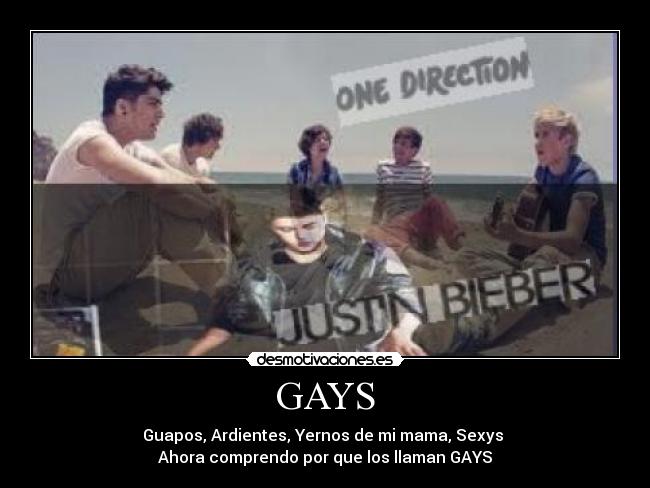 GAYS - Guapos, Ardientes, Yernos de mi mama, Sexys
Ahora comprendo por que los llaman GAYS