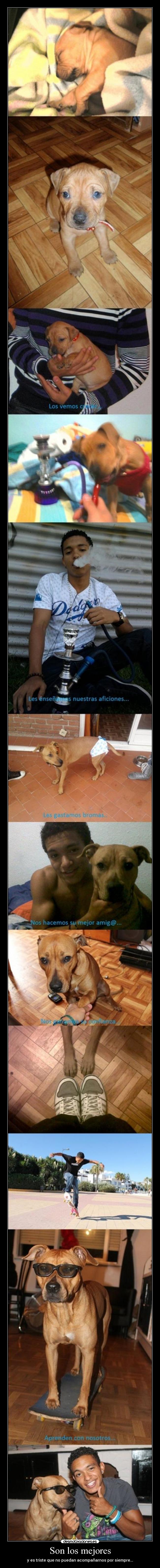 Son los mejores - y es triste que no puedan acompañarnos por siempre...