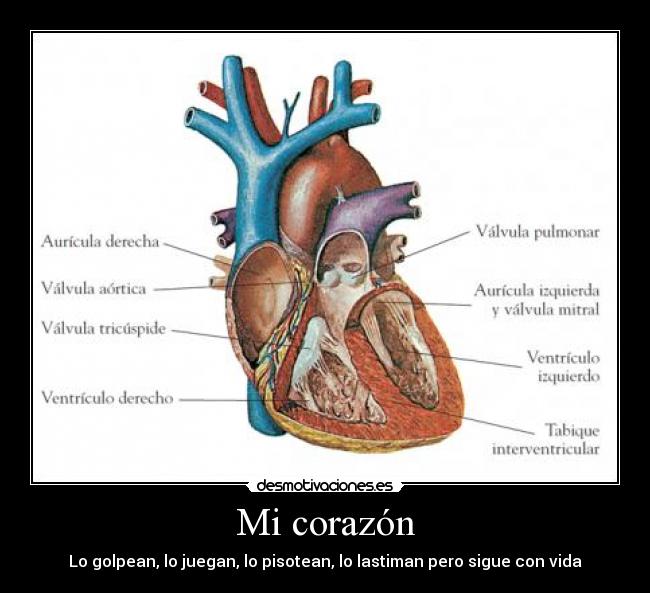 Mi corazón - Lo golpean, lo juegan, lo pisotean, lo lastiman pero sigue con vida