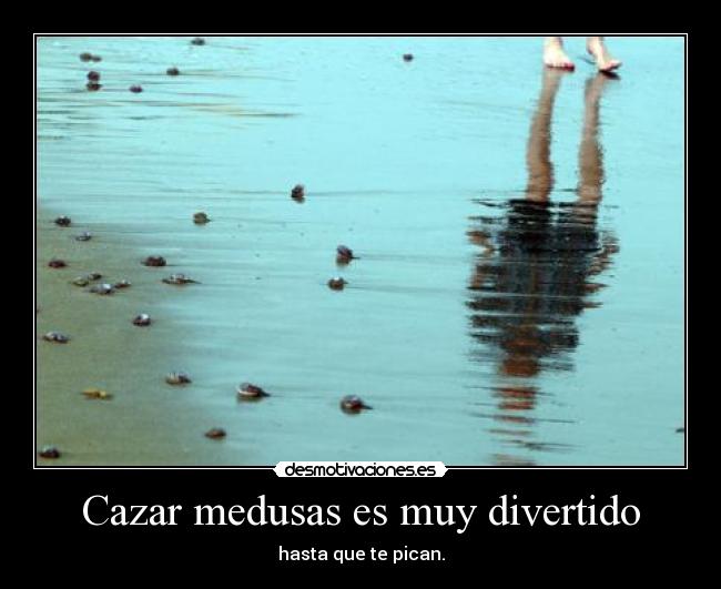 Cazar medusas es muy divertido - hasta que te pican.