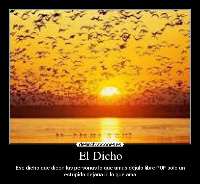 El Dicho - Ese dicho que dicen las personas lo que amas déjalo libre PUF solo un
estúpido dejaría ir lo que ama