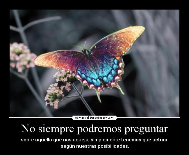 No siempre podremos preguntar - sobre aquello que nos aqueja, simplemente tenemos que actuar 
según nuestras posibilidades.