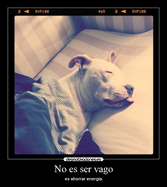 No es ser vago -