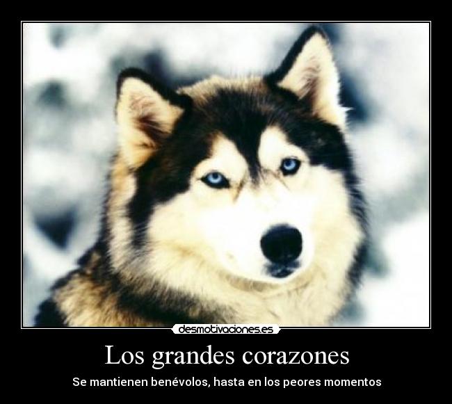Los grandes corazones - Se mantienen benévolos, hasta en los peores momentos
