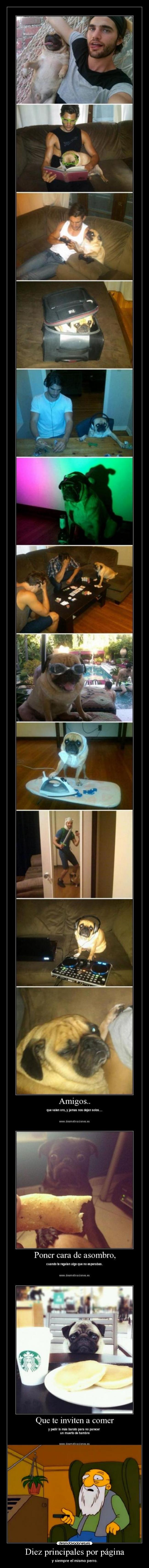 Diez principales por página - 