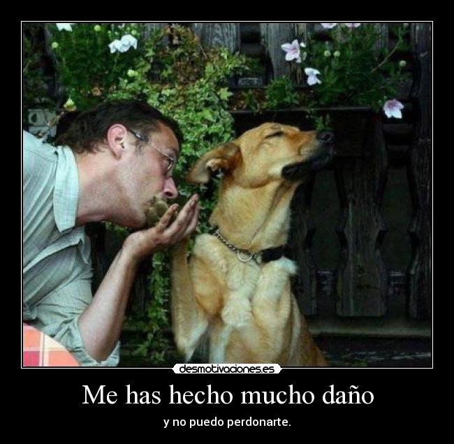 Me has hecho mucho daño -