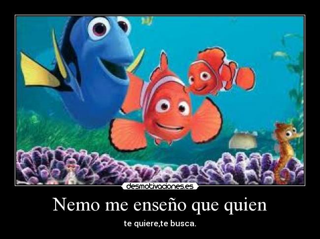 Nemo me enseño que quien - te quiere,te busca.