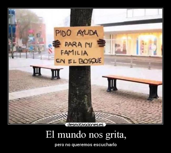 carteles mundo noalmaltratoanimal desmotivaciones