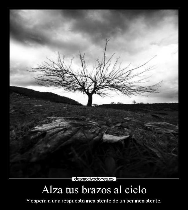 Alza tus brazos al cielo - Y espera a una respuesta inexistente de un ser inexistente.