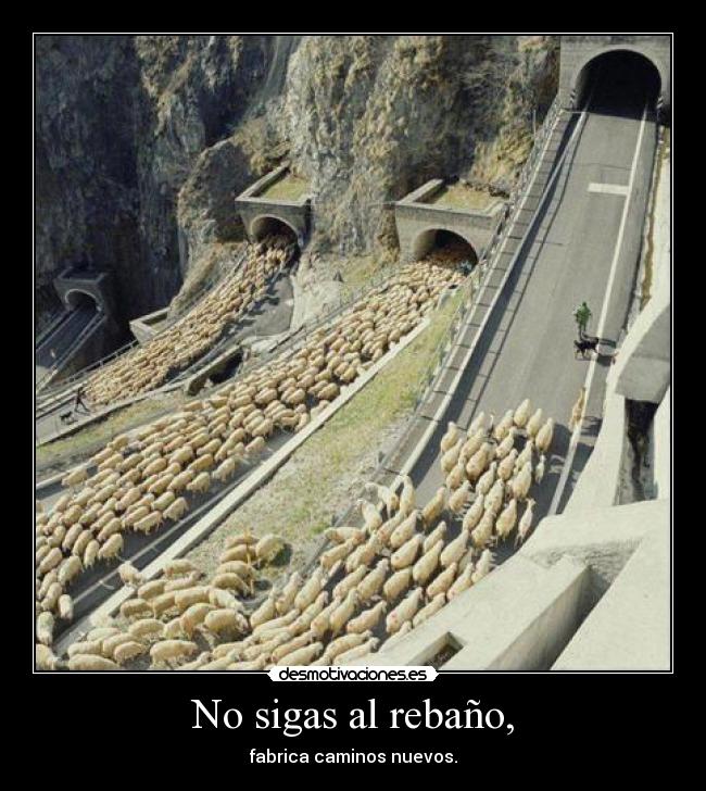 No sigas al rebaño, - fabrica caminos nuevos.