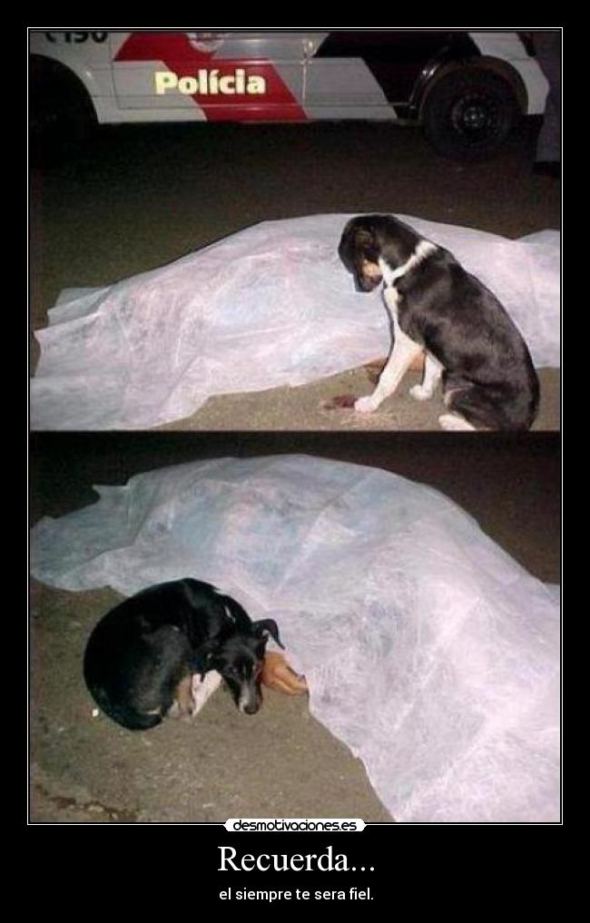 Recuerda... - el siempre te sera fiel.