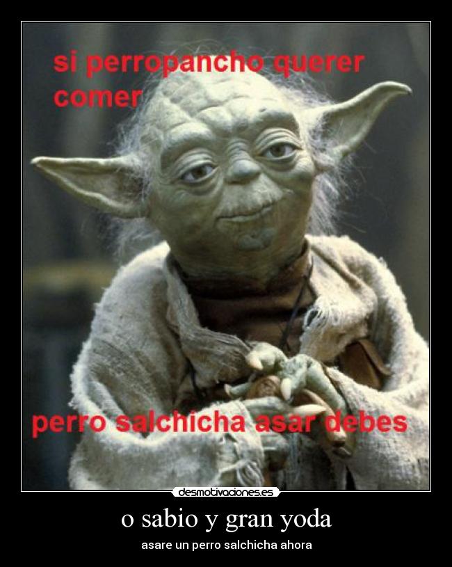 o sabio y gran yoda - asare un perro salchicha ahora