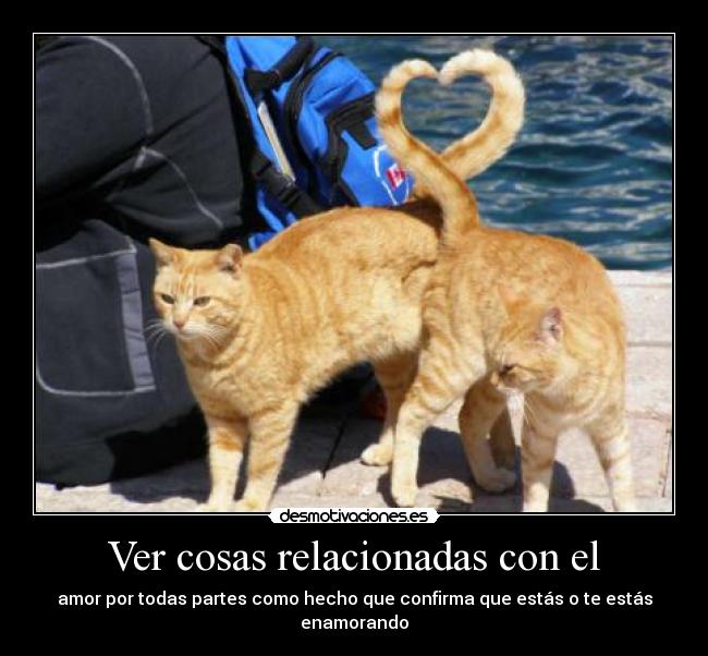 Ver cosas relacionadas con el -