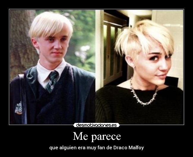 Me parece - que alguien era muy fan de Draco Malfoy