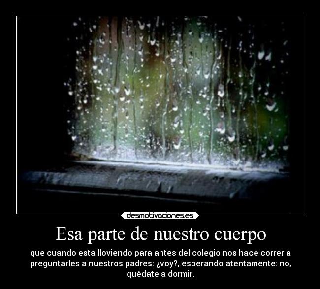 Esa parte de nuestro cuerpo - 
