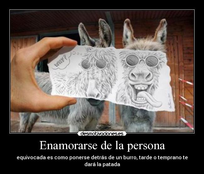 Enamorarse de la persona - 