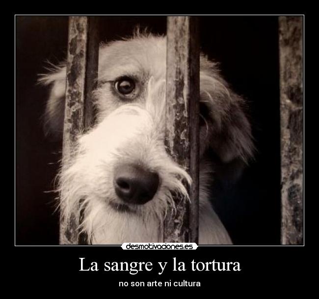 carteles noalmaltratoanimal desmotivaciones