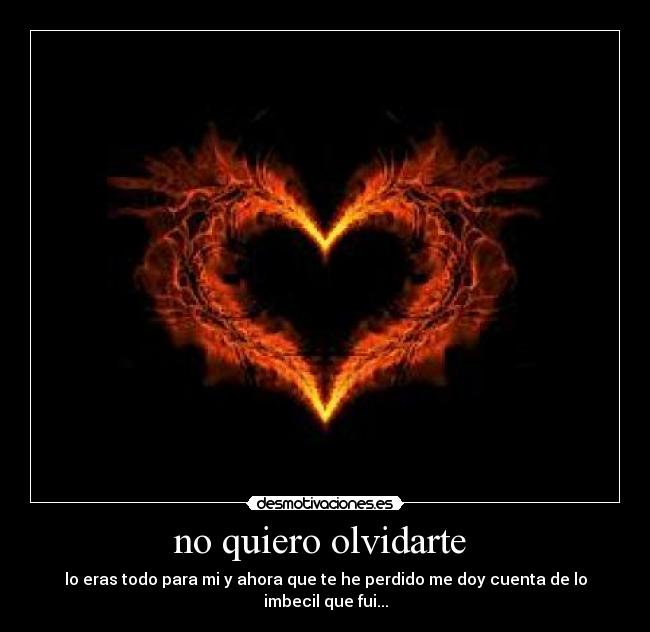 no quiero olvidarte - lo eras todo para mi y ahora que te he perdido me doy cuenta de lo imbecil que fui...