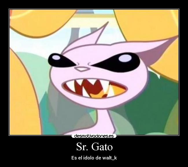 Sr. Gato - 