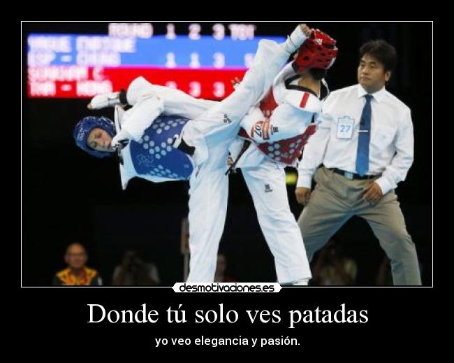 Donde tú solo ves patadas - yo veo elegancia y pasión.