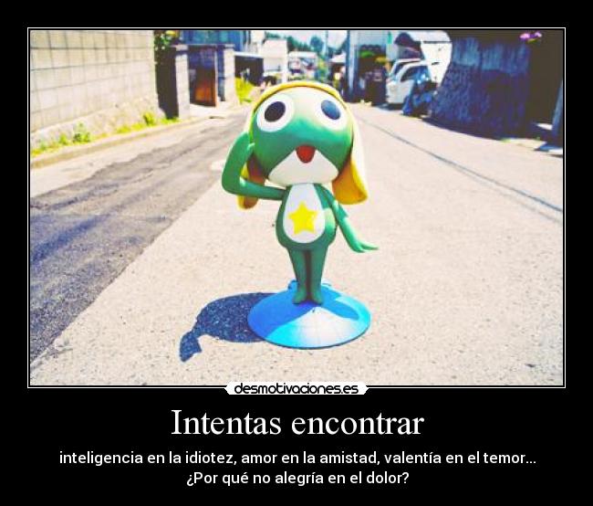 Intentas encontrar -