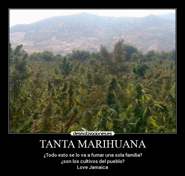 TANTA MARIHUANA -