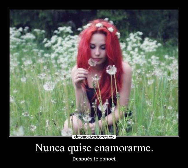 Nunca quise enamorarme. - 