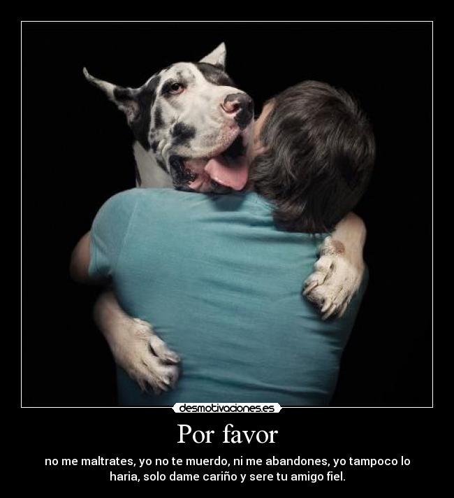 carteles jhoel desmotivaciones