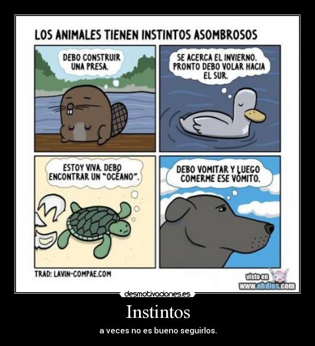 carteles instintos desmotivaciones