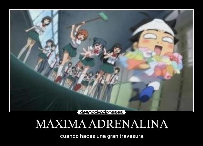 MAXIMA ADRENALINA -