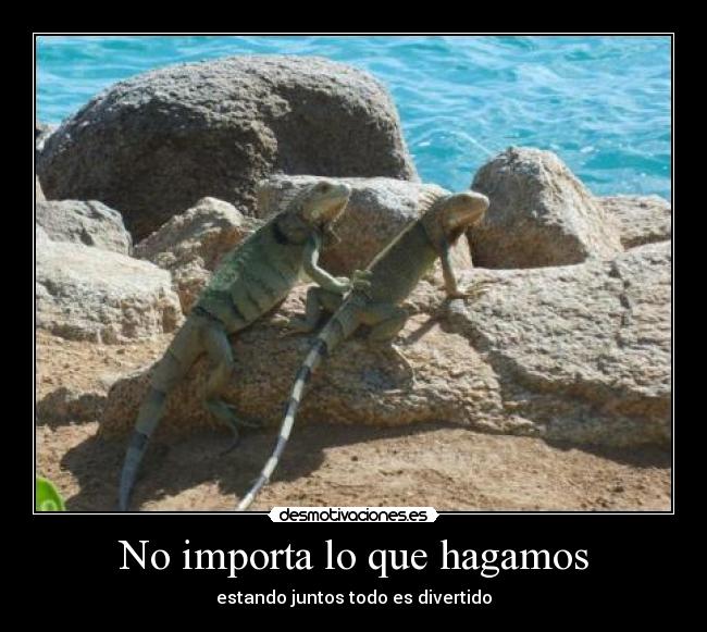 carteles iguana amor juntos desmotivaciones