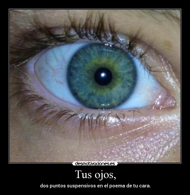 Tus ojos, - dos puntos suspensivos en el poema de tu cara.